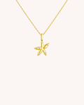 The North Star Necklace