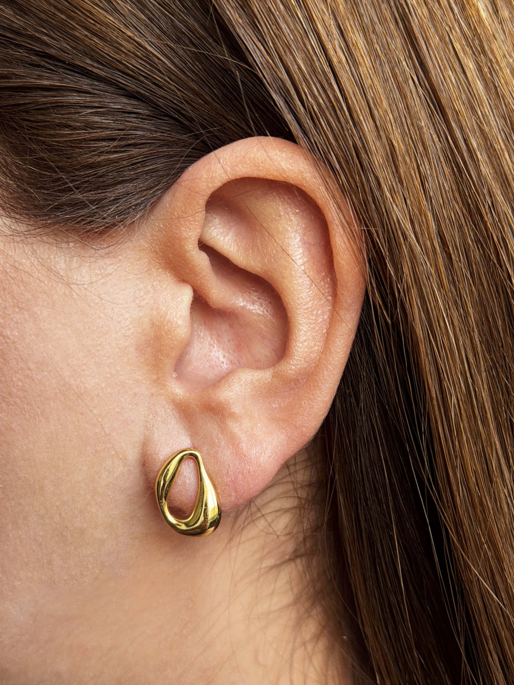 The Loop Earrings