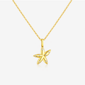 The North Star Necklace